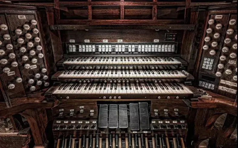 适合女孩学的乐器排行（公认的最烧钱的五大乐器）