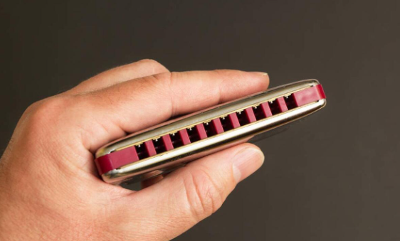 乐器中哪个最好学最易学便宜不烧钱的