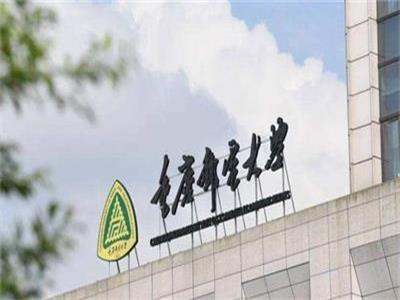 重庆邮电大学复试刷人厉害吗（刷人比例）