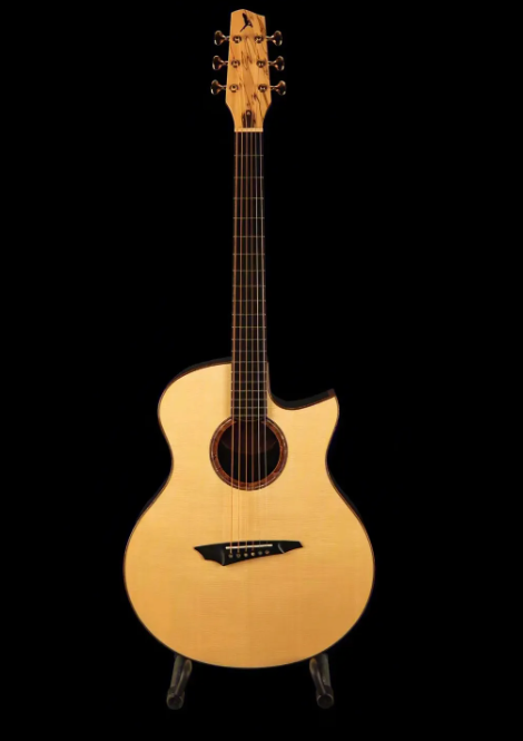 乐器中哪个最好学最易学便宜不烧钱的