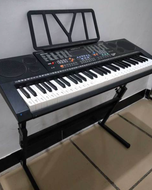 乐器中哪个最好学最易学便宜不烧钱的