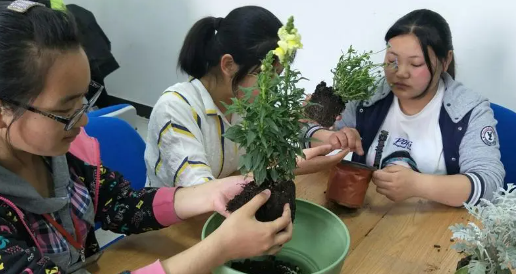 园艺专业是不是最烂的专业