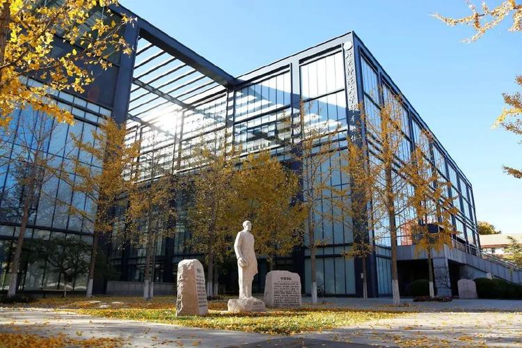 适合美术生的综合大学