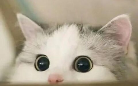 普通话考试考多久啊,普通话考试考多久时间