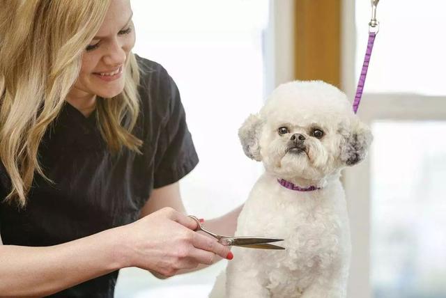 美容师学徒一般学多久才能像老师傅的手法,学美容一般要多久才可以学会