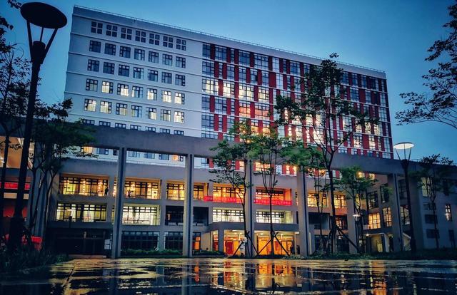 统计学属于什么学科门类,统计学算什么学类