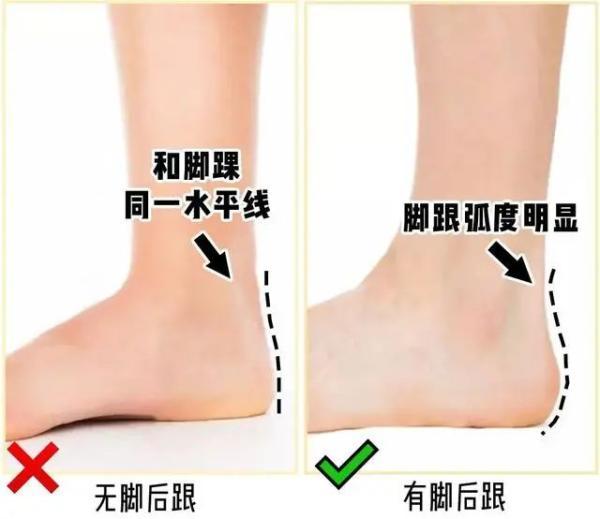 什么的脚步,什么的脚掌