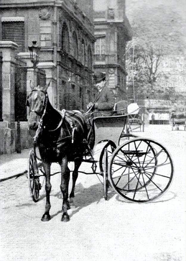 什么的马匹,一匹什么样的马