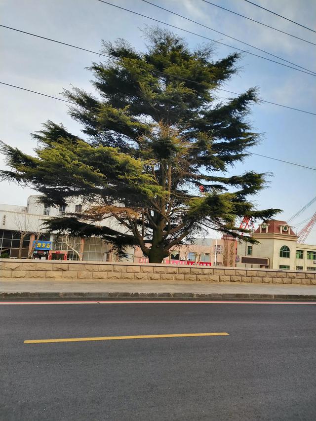 职业资格证是什么,职业资格是什么怎么填