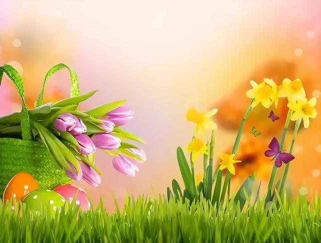 适合4年级孩子看的课外书,小学四年级阅读推荐书目