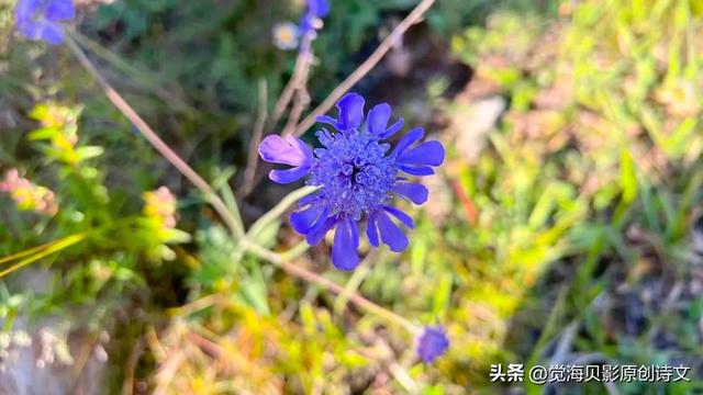 怎样才能当演员,怎样可以成为演员