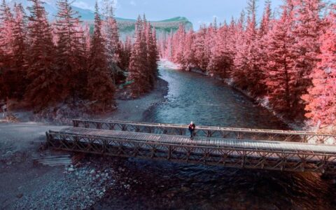 考研压分是什么意思为什么要压分,考研400分是什么概念