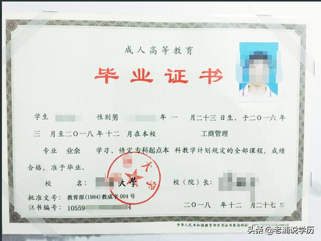 全国学籍号怎么查询,学籍号在哪里看