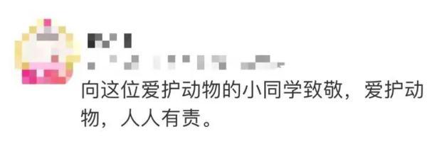 奖状鼓励表扬语句,初中生拿到奖状鼓励的话