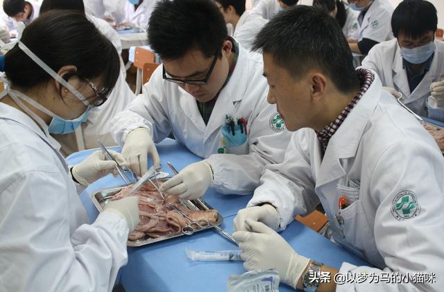 不限专业的公务员职位有哪些岗位,本科不限专业的公务员