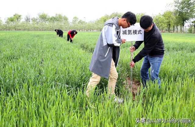 不限专业的公务员职位有哪些岗位,本科不限专业的公务员