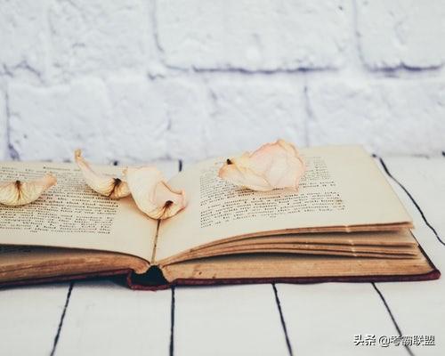 普通话考试评分标准细则文件,普通话考试的评分标准