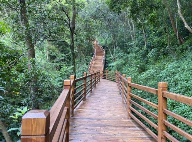 深圳社区工作者真实待遇怎么样,深圳社会工作者待遇怎么样