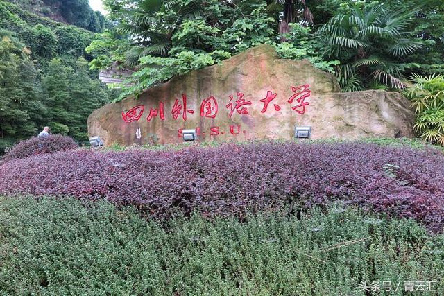 28理科可以报什么学校,文科528分可以上什么大学"