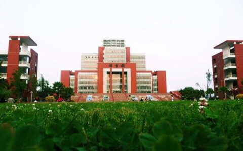 统计学属于什么学科门类,统计学算什么学类