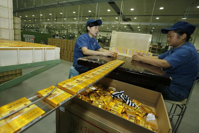 往届生是什么,什么是应届什么是往届