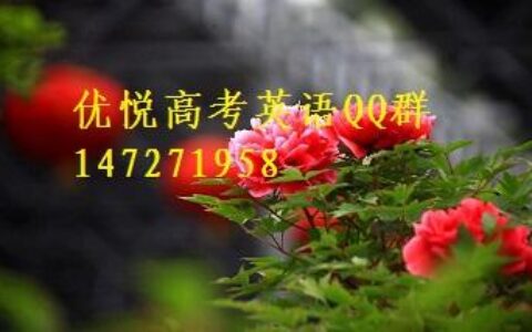 Bamboo的复数形式,bambooes复数