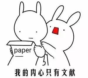 研究生和博士的区别,硕士和研究生有区别吗