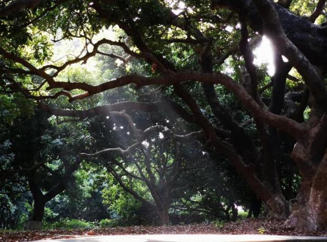 深圳社区工作者真实待遇怎么样,深圳社会工作者待遇怎么样