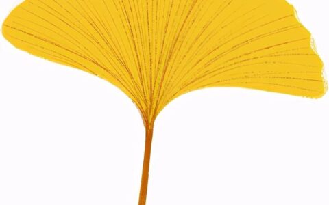 英语六级通过率一般多少-看完我震惊了,英语六级通过率历年