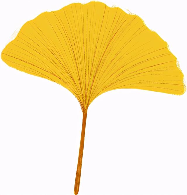 英语六级通过率一般多少-看完我震惊了,英语六级通过率历年