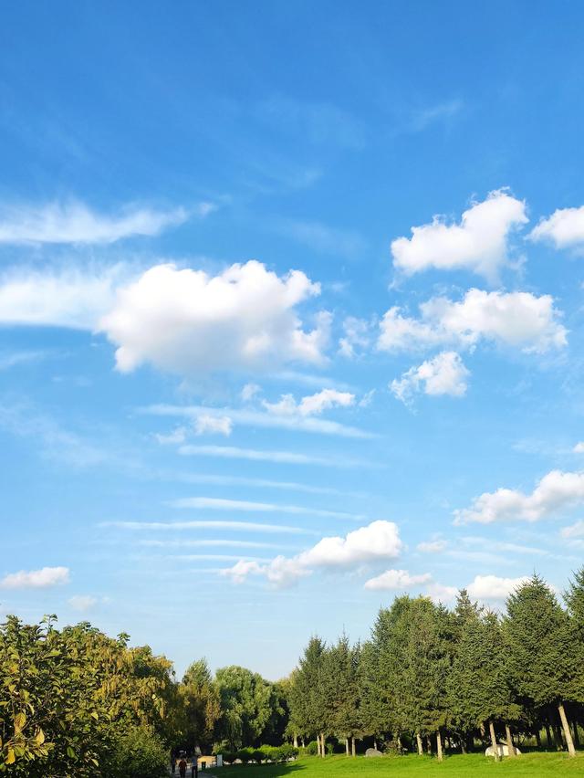 二级建造师好考吗零基础可以考吗,零基础考二建市政难吗