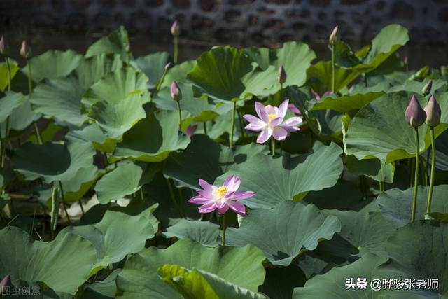 郑州轻工业大学属于什么档次的学校,郑州轻工业学院怎么样好不好