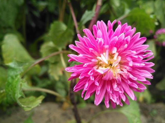 求不定积分∫x,求不定积分∫xcosxdx