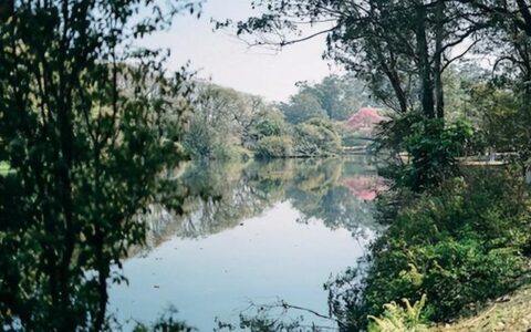 考研数二高等数学要考哪些内容,考研数学一考哪些内容