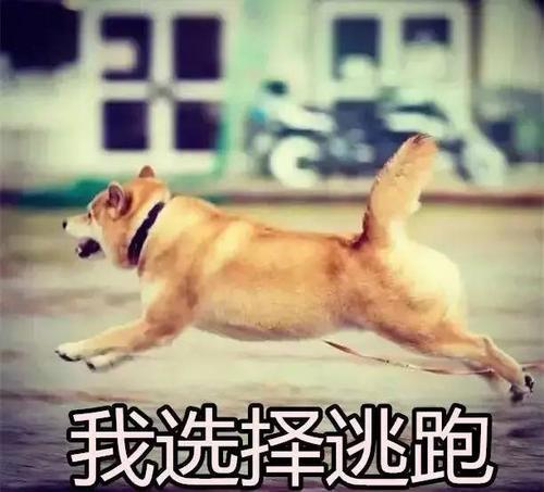 女生适合学什么专业,法学哪个方向适合女生