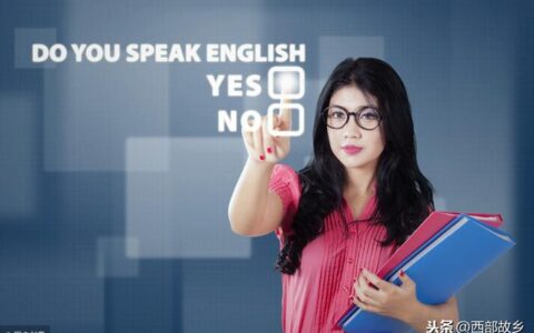 bamboo的复数是什么,bamboo复数是什么