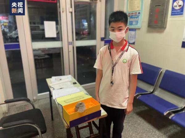 奖状鼓励表扬语句,初中生拿到奖状鼓励的话