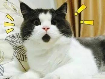 集美大学研究生太难考了吧,集美大学考研率为什么那么低