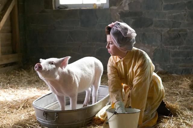 儿童看的电影推荐,儿童最爱看的电影