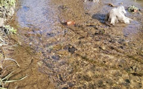 语言对孩子的重要性,语言对人类社会的重要性