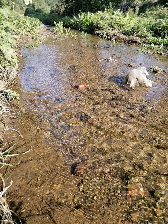 语言对孩子的重要性,语言对人类社会的重要性