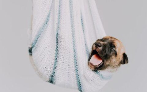 注册建筑工程师报考条件,注册建筑师报名条件和要求