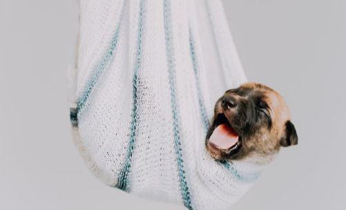 注册建筑工程师报考条件,注册建筑师报名条件和要求