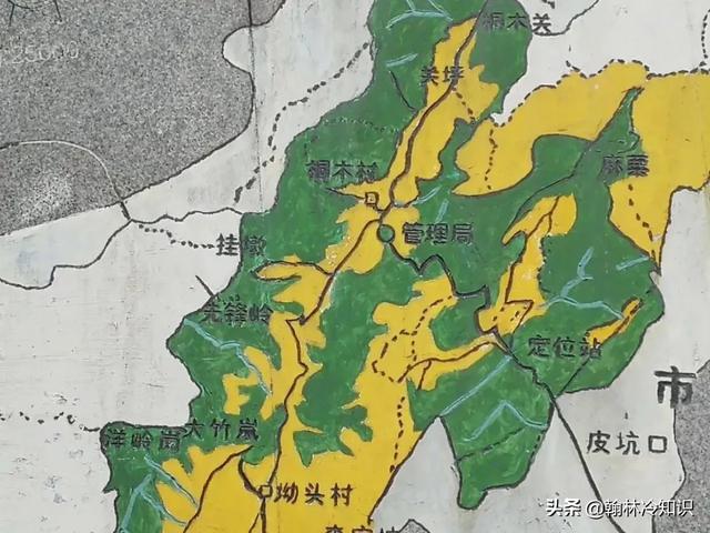 红茶为什么叫black teat,红茶英语为啥叫blacktea