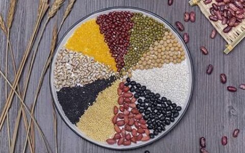 公共营养师工资一般多少,营养师就业方向和待遇