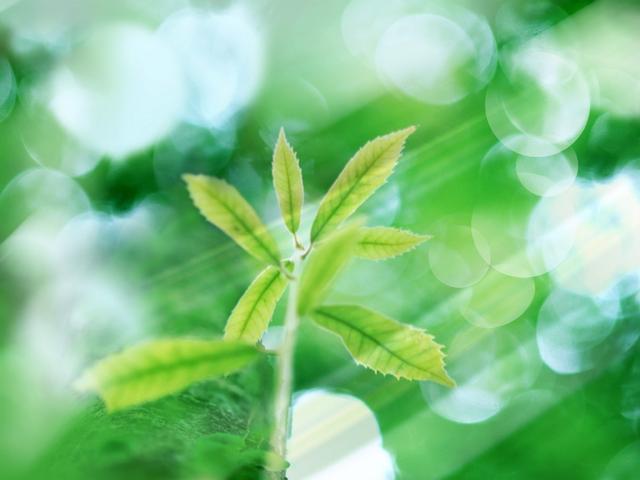 求不定积分∫x,求不定积分∫xcosxdx