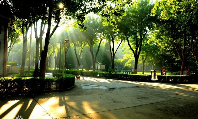 河北地质大学是几星级大学,河北地质大学怎么样