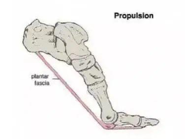 什么的脚步,什么的脚掌