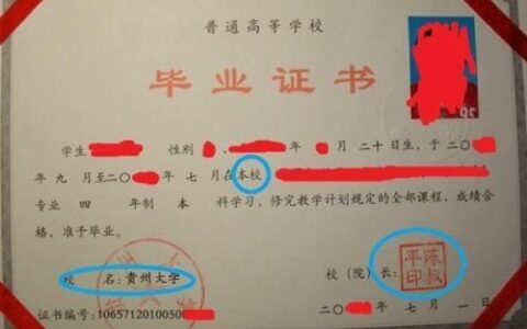 专升本第一学历是本科还是专科,男友专升本骗我是本科