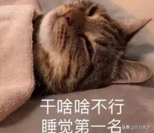 审计师是干嘛的呢,审计师有什么用处